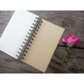 Fashion Cheap Chinese Pocket Spiral Mini Notebook (NP-X-136P-0005)